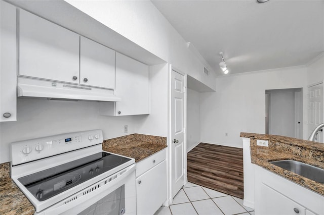 9602 Lake Chase Island Way Unit 9602, Tampa, FL 33626 - kitchen with white electric range oven, under cabinet range hood, a sink, white cabinetry, and crown molding