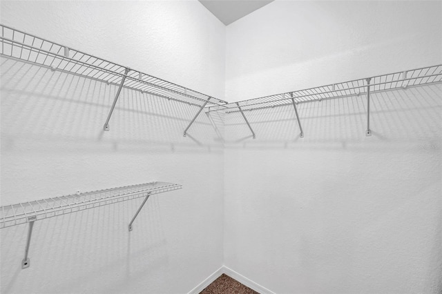 9602 Lake Chase Island Way Unit 9602, Tampa, FL 33626 - walk in closet with dark carpet