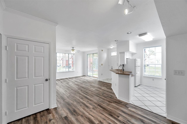 9602 Lake Chase Island Way Unit 9602, Tampa, FL 33626 - kitchen with freestanding refrigerator, dark countertops, a ceiling fan, and healthy amount of natural light