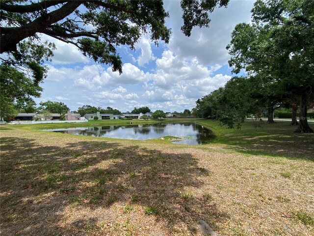 12912 Leadwood Dr, Riverview, FL 33579 - water view