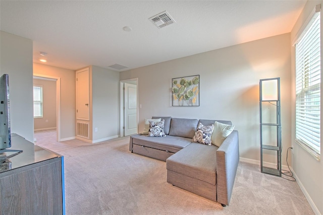 10210 White Linen Ave, Riverview, FL 33578 - living room featuring light colored carpet and plenty of natural light