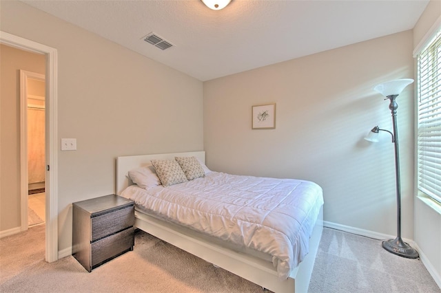 10210 White Linen Ave, Riverview, FL 33578 - carpeted bedroom with baseboards