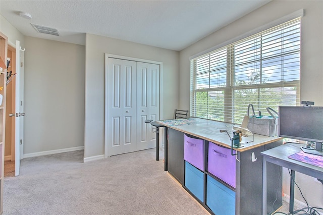 10210 White Linen Ave, Riverview, FL 33578 - home office featuring light colored carpet and a textured ceiling