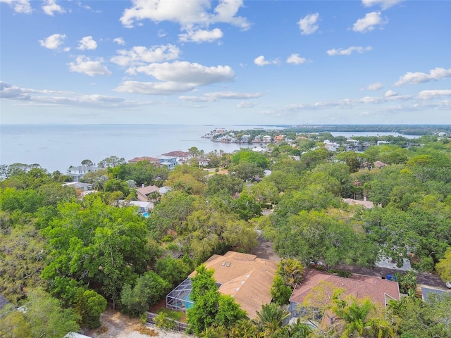 160 Sage Cir, Crystal Beach, FL 34681 - aerial view of a large body of water