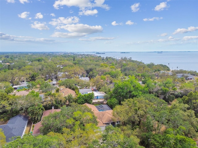 160 Sage Cir, Crystal Beach, FL 34681 - drone / aerial view of a nearby body of water