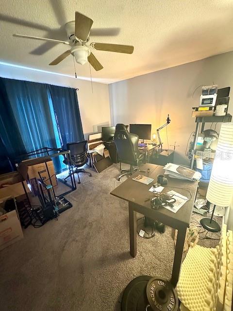 144 Douglas Rd W Unit F, Oldsmar, FL 34677 - office space with carpet floors, ceiling fan, and a textured ceiling