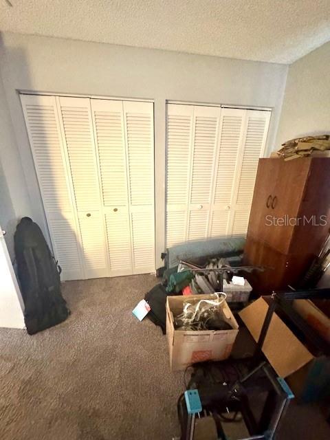 144 Douglas Rd W Unit F, Oldsmar, FL 34677 - bedroom featuring carpet, two closets, and a textured ceiling