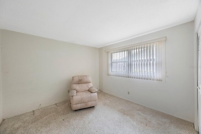sitting room featuring carpet flooring