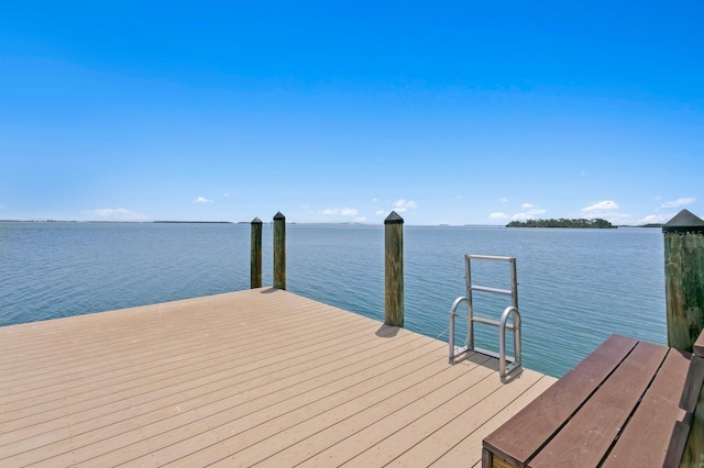 100 Sands Point Dr, Tierra Verde, FL 33715 - photo 57