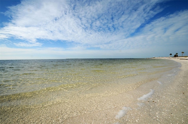 1402 Oleander Dr, Tarpon Springs, FL 34689 - water view featuring local beach