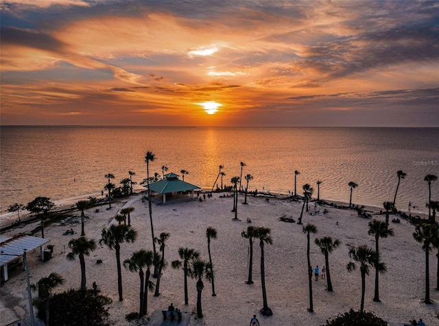 1402 Oleander Dr, Tarpon Springs, FL 34689 - water view featuring a dock
