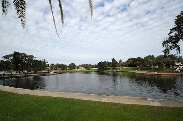 1402 Oleander Dr, Tarpon Springs, FL 34689 - water view