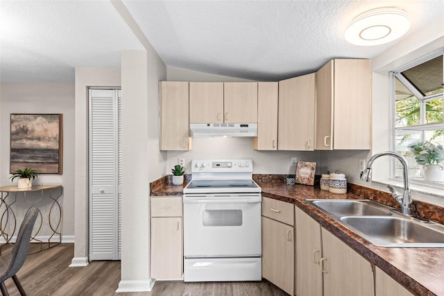 kitchen featuring electric range, under cabinet range hood, a sink, light brown cabinets, and wood finished floors