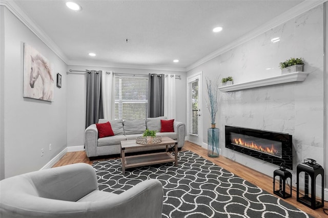 11901 4th St N Unit 8207, Saint Petersburg, FL 33716 - living area featuring ornamental molding, recessed lighting, a high end fireplace, wood finished floors, and baseboards