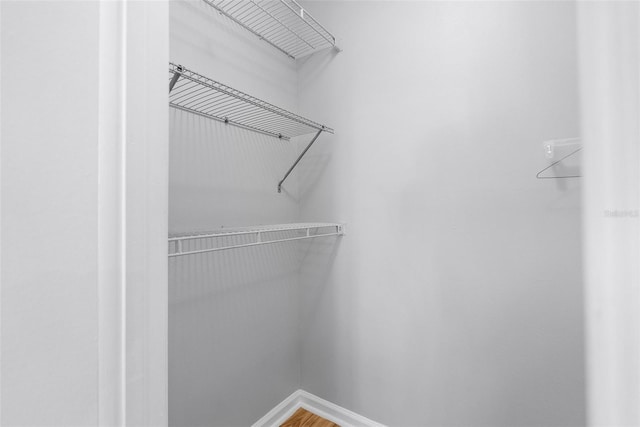 11901 4th St N Unit 8207, Saint Petersburg, FL 33716 - walk in closet with wood finished floors