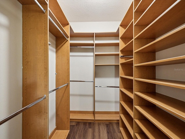 12212 Mcmullen Loop, Riverview, FL 33569 - walk in closet featuring dark wood finished floors