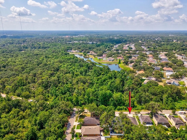 12212 Mcmullen Loop, Riverview, FL 33569 - aerial view of residential area with a nearby body of water and a heavily wooded area