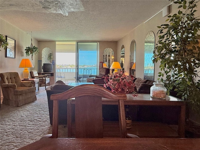 7910 Sun Island Dr S Unit 404, South Pasadena, FL 33707 - carpeted living area featuring a textured ceiling