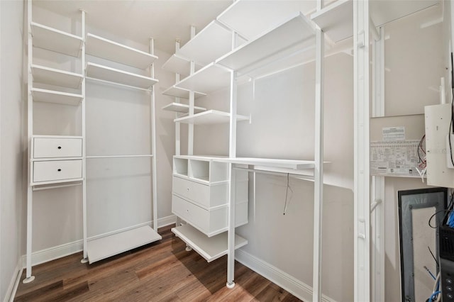 5117 Longspur Ct, Lithia, FL 33547 - walk in closet featuring wood finished floors