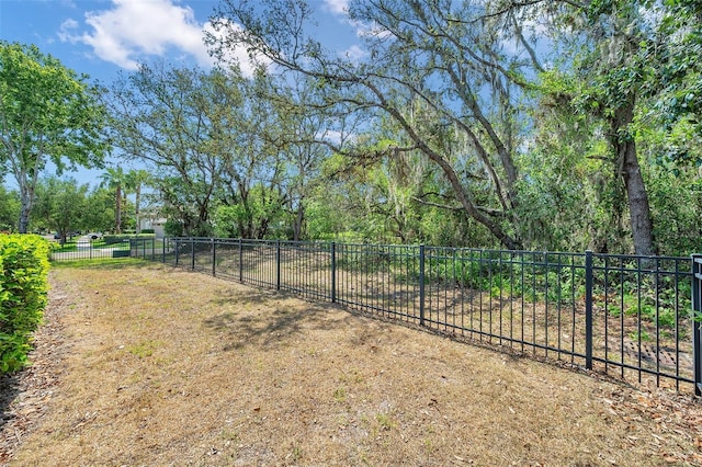 5117 Longspur Ct, Lithia, FL 33547 - view of yard