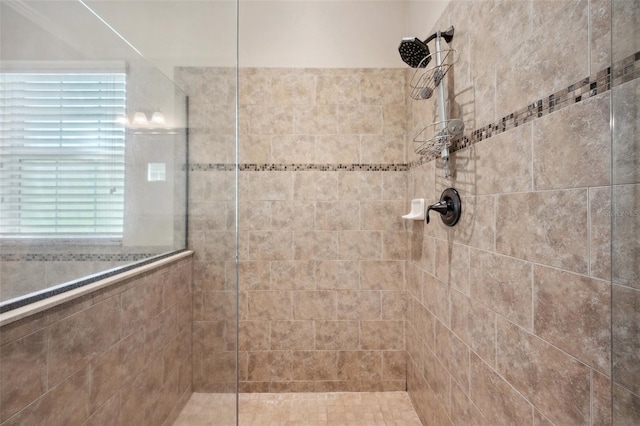 5117 Longspur Ct, Lithia, FL 33547 - full bath with a walk in shower