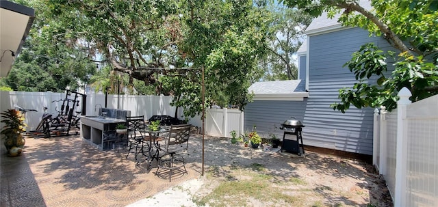 8207 Volusia Pl, Tampa, FL 33637 - fenced backyard featuring a patio, a sink, and a grill