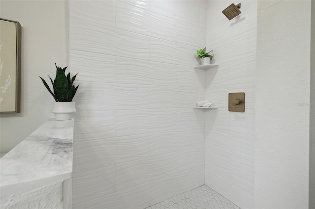 1404 E Curtis St, Tampa, FL 33603 - bathroom view of tiled shower