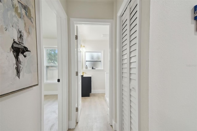 1404 E Curtis St, Tampa, FL 33603 - hallway featuring light wood finished floors and baseboards