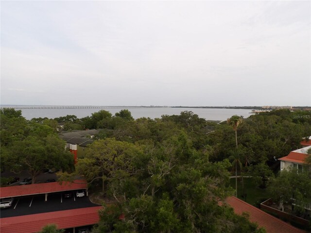 2699 Seville Blvd Unit 802, Clearwater, FL 33764 - bird's eye view of a nearby body of water