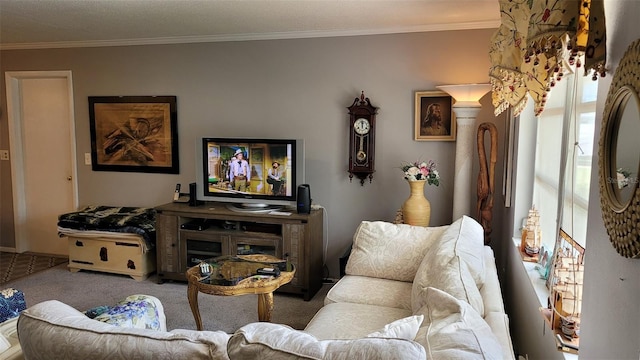 10040 38th Way N, Pinellas Park, FL 33782 - carpeted living room with crown molding