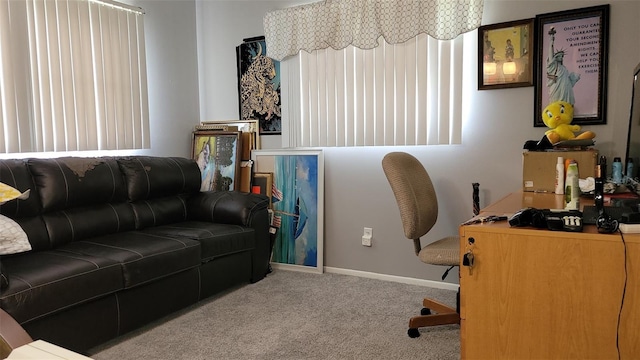 10040 38th Way N, Pinellas Park, FL 33782 - office space with carpet and baseboards