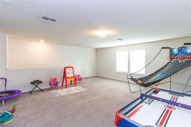10313 Wine Press Ave, Riverview, FL 33578 - photo 35