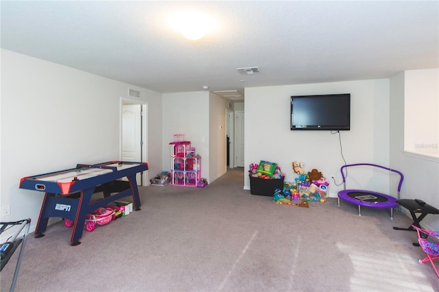 10313 Wine Press Ave, Riverview, FL 33578 - photo 37