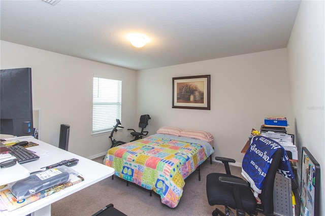 10313 Wine Press Ave, Riverview, FL 33578 - photo 43