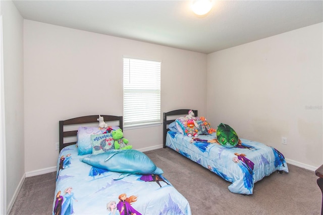 10313 Wine Press Ave, Riverview, FL 33578 - photo 44