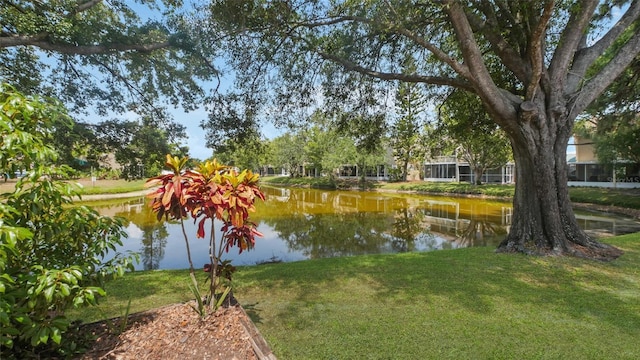 9050 Lake Place Ln, Tampa, FL 33634 - water view