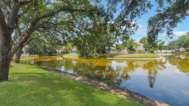 9050 Lake Place Ln, Tampa, FL 33634 - water view