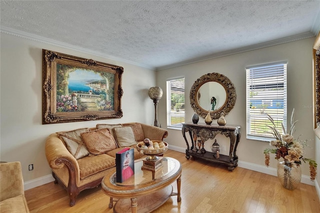 2219 Summit View Dr, Valrico, FL 33596 - living area with a textured ceiling, light wood-type flooring, crown molding, and baseboards