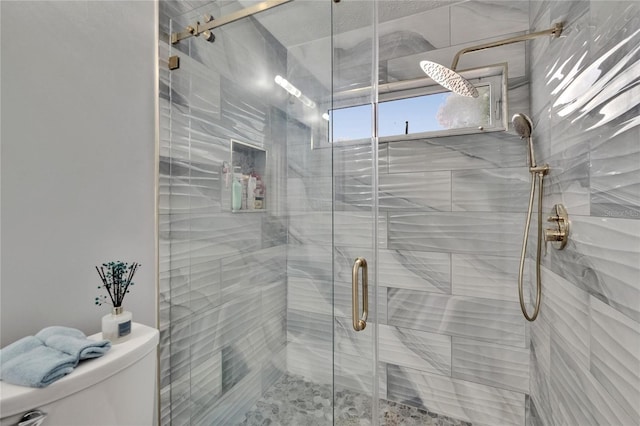 2219 Summit View Dr, Valrico, FL 33596 - full bathroom with toilet and a shower stall