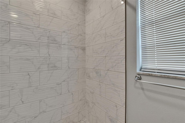 2219 Summit View Dr, Valrico, FL 33596 - bathroom featuring walk in shower
