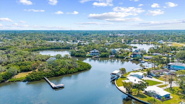aerial view of a large body of water and a forest