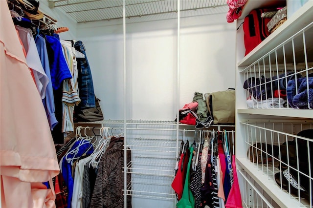 2913 Fig Ct, Palm Harbor, FL 34684 - view of spacious closet