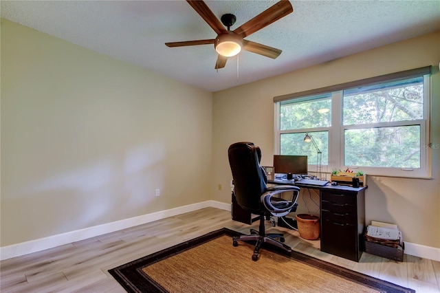 2913 Fig Ct, Palm Harbor, FL 34684 - office area featuring ceiling fan, light wood-type flooring, and baseboards