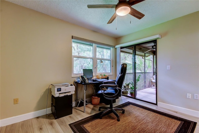 2913 Fig Ct, Palm Harbor, FL 34684 - office area with light wood-style flooring, baseboards, ceiling fan, and a textured ceiling
