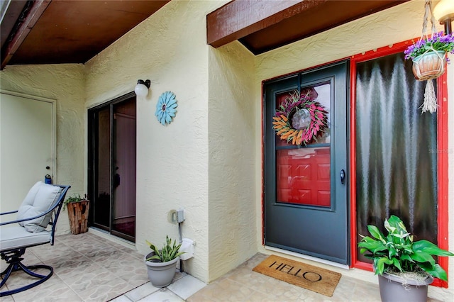 2913 Fig Ct, Palm Harbor, FL 34684 - property entrance with stucco siding