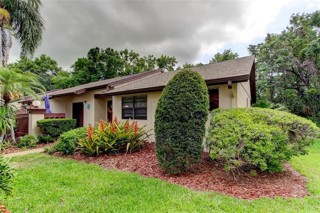 2913 Fig Ct, Palm Harbor, FL 34684 - ranch-style house featuring a front lawn, stucco siding, and a shingled roof