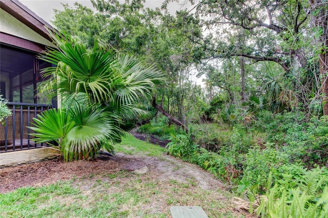 2913 Fig Ct, Palm Harbor, FL 34684 - view of yard featuring fence