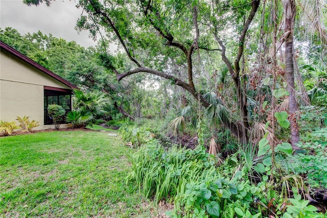 2913 Fig Ct, Palm Harbor, FL 34684 - view of green lawn