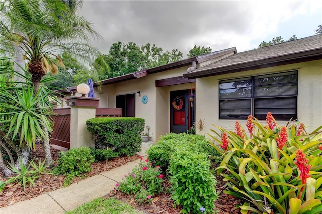 2913 Fig Ct, Palm Harbor, FL 34684 - property entrance with stucco siding and a gate