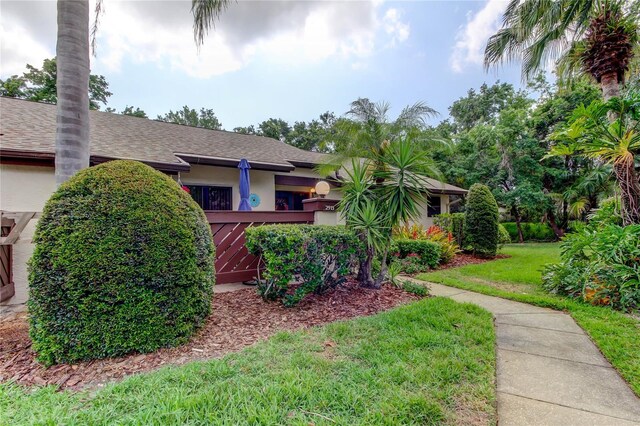 2913 Fig Ct, Palm Harbor, FL 34684 - view of side of home with roof with shingles and stucco siding